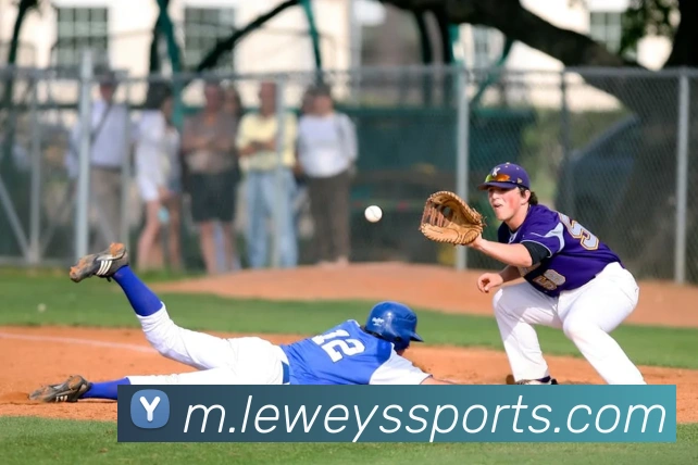 App Interface Preview