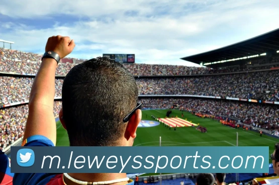 体育下注APP 封面图